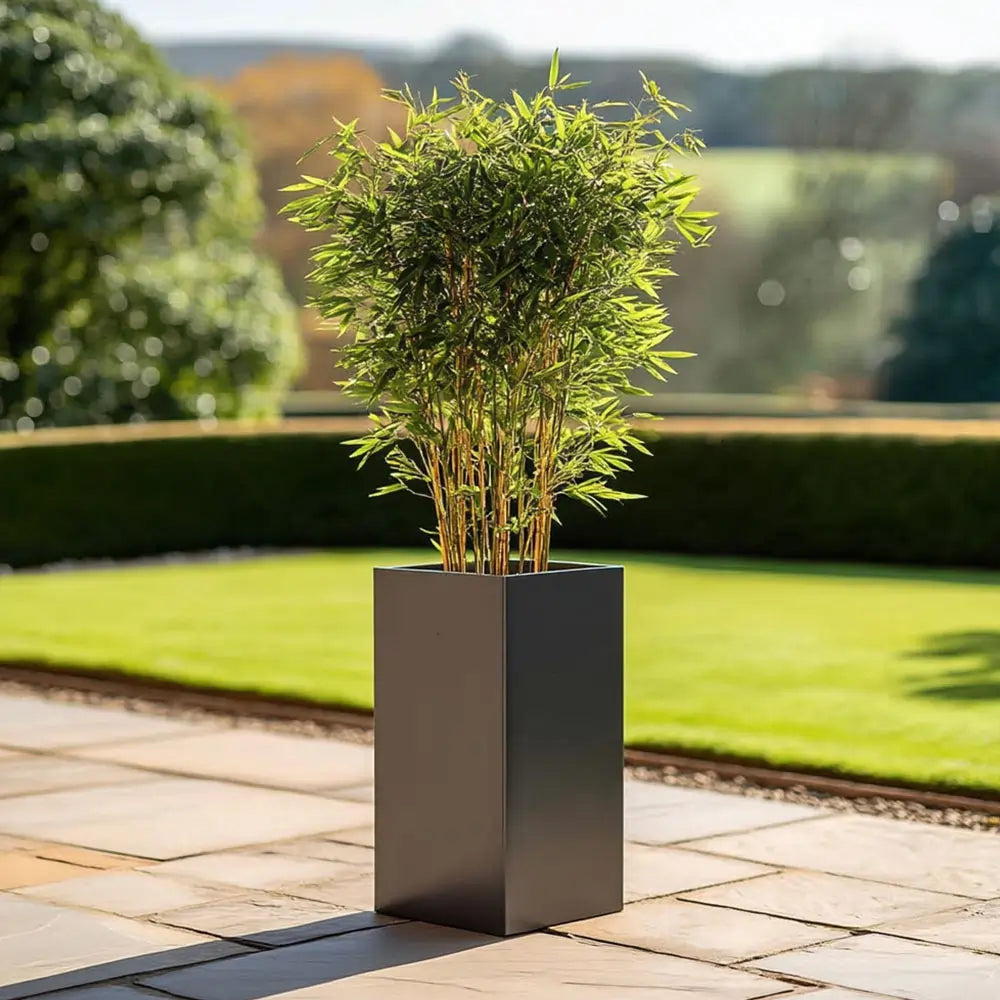 50cm Zinc Galvanised Matte Grey Tall Square Planter – Woven Wood