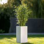 tall square matte white planter with bamboo tree