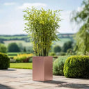 50cm Zinc Galvanised Brushed Rose Gold Finish Tall Square Planter