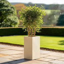 50cm Zinc Galvanised Cream Tall Square Planter