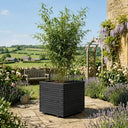 Wooden Pine Raised Cube Planter #60cm(L) x 60cm(W) x 60cm(H) #Black