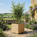 Wooden Pine Raised Cube Planter