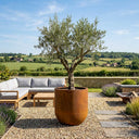 60cm Corten Steel Large Cylinder Planter with Rounded Base