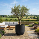 Zinc Galvanised Cylinder Planter with Round Base