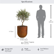 60cm Corten Steel Large Cylinder Planter with Rounded Base