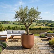 Zinc Galvanised Cylinder Planter with Round Base