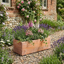 Rustic Terracotta Trough Planter