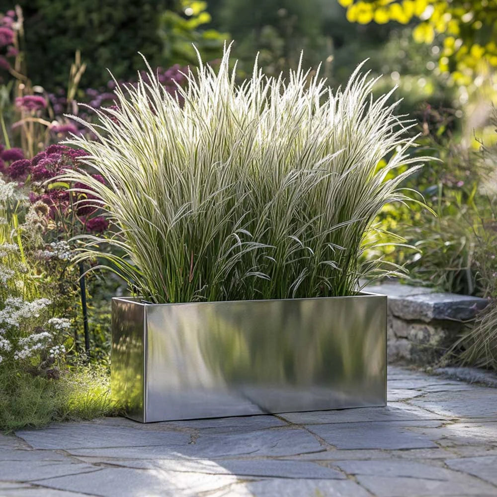 silver trough planter