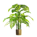 100cm Large Foxs Aglaonema (Spotted Evergreen) Tree Artificial Plant with Gold Metal Planter