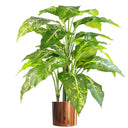 100cm Large Foxs Aglaonema (Spotted Evergreen) Tree Artificial Plant with Copper Metal Planter