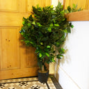 90cm Artificial Ficus Tree Bush - Large Bushy Plant