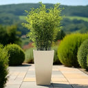 70cm Zinc Galvanised Cream Tall Tapered Square Planter - image 10