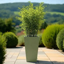 70cm Zinc Galvanised Sage Green Tall Tapered Square Planter - image 10