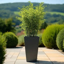 70cm Zinc Galvanised Matte Grey Tall Flared Tapered Square Planter