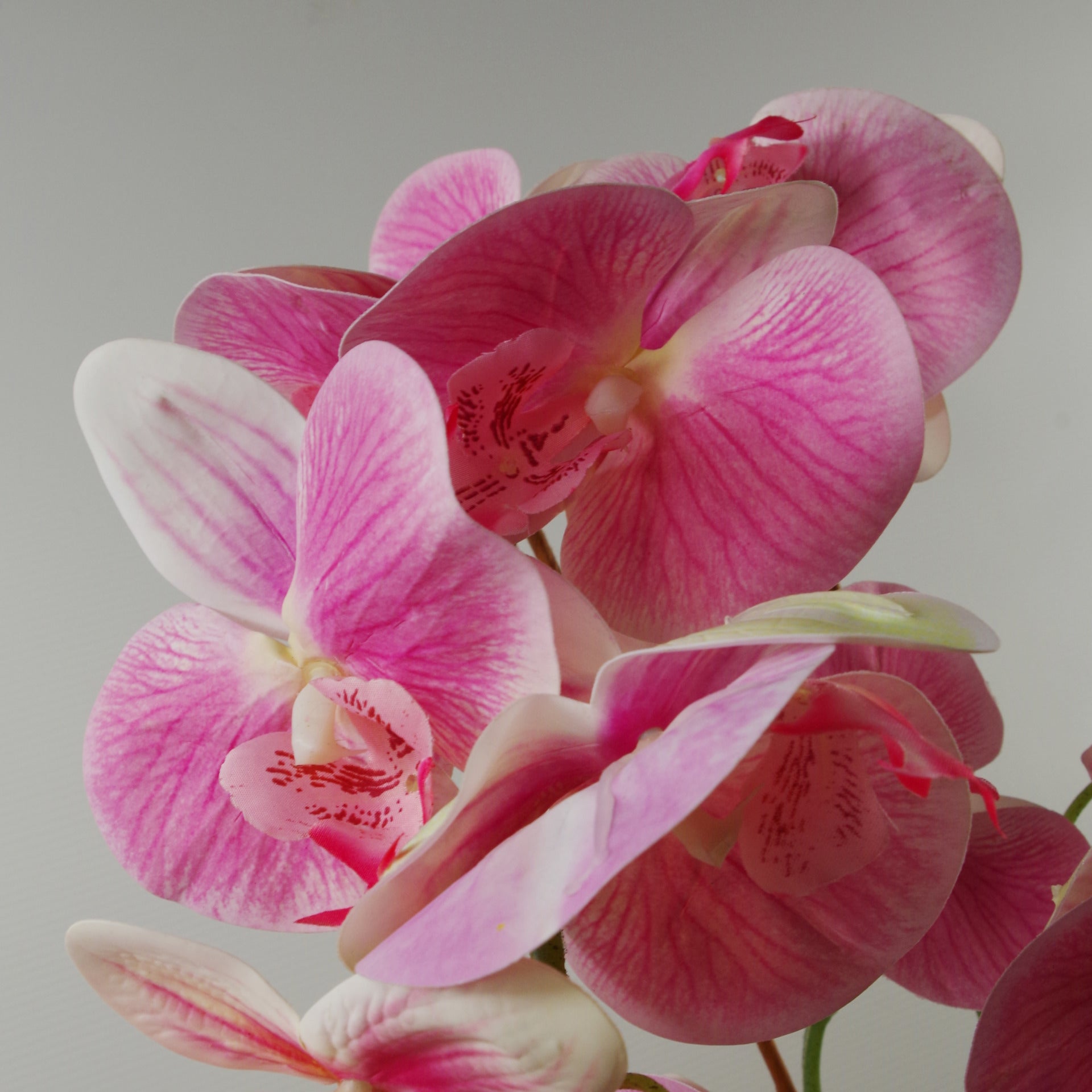 70cm Artificial Orchid Light Pink