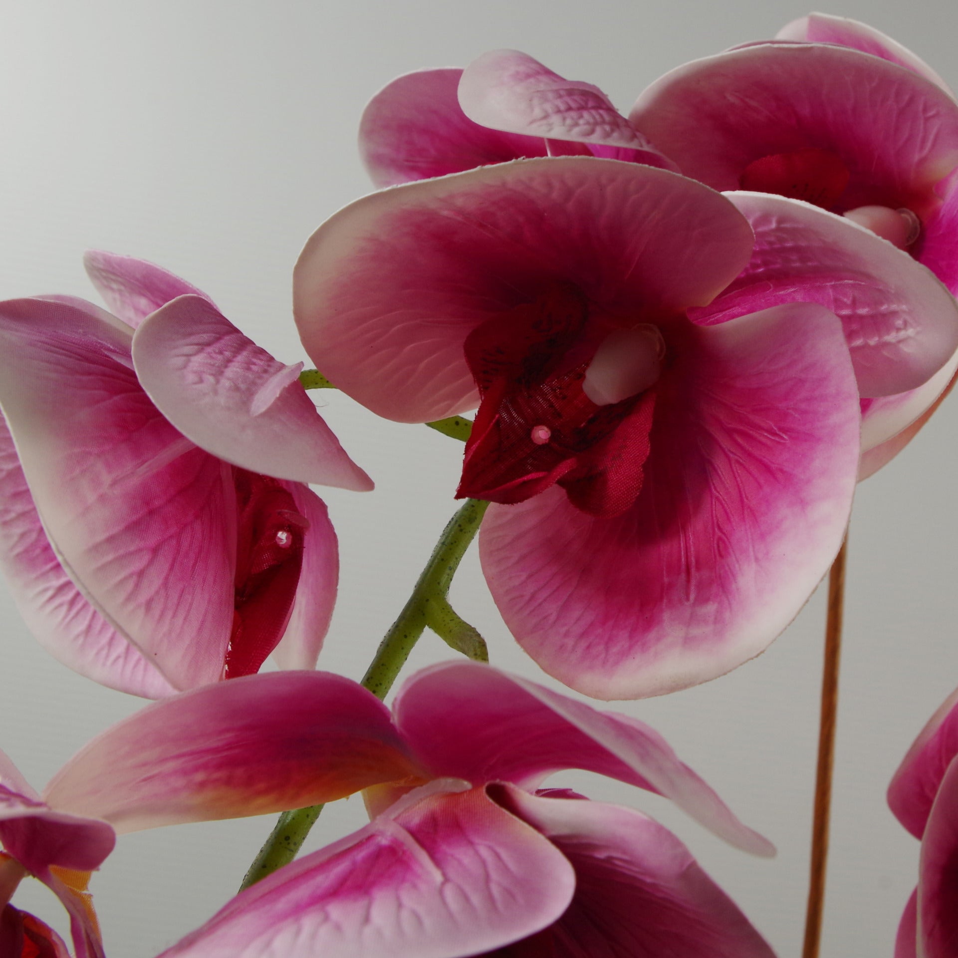 70cm Artificial Orchid Dark Pink
