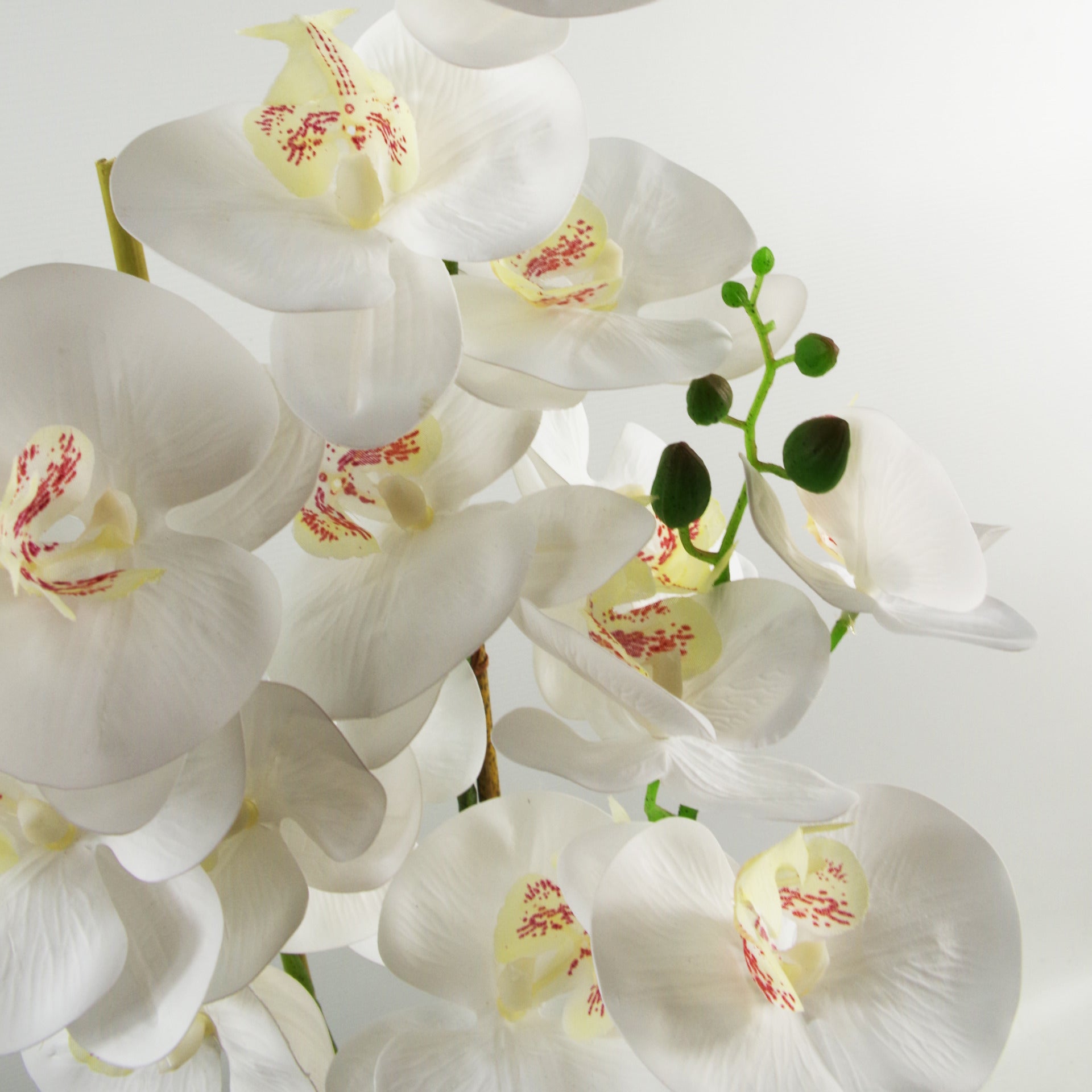 70cm Artificial Orchid White with Black Ceramic Planter