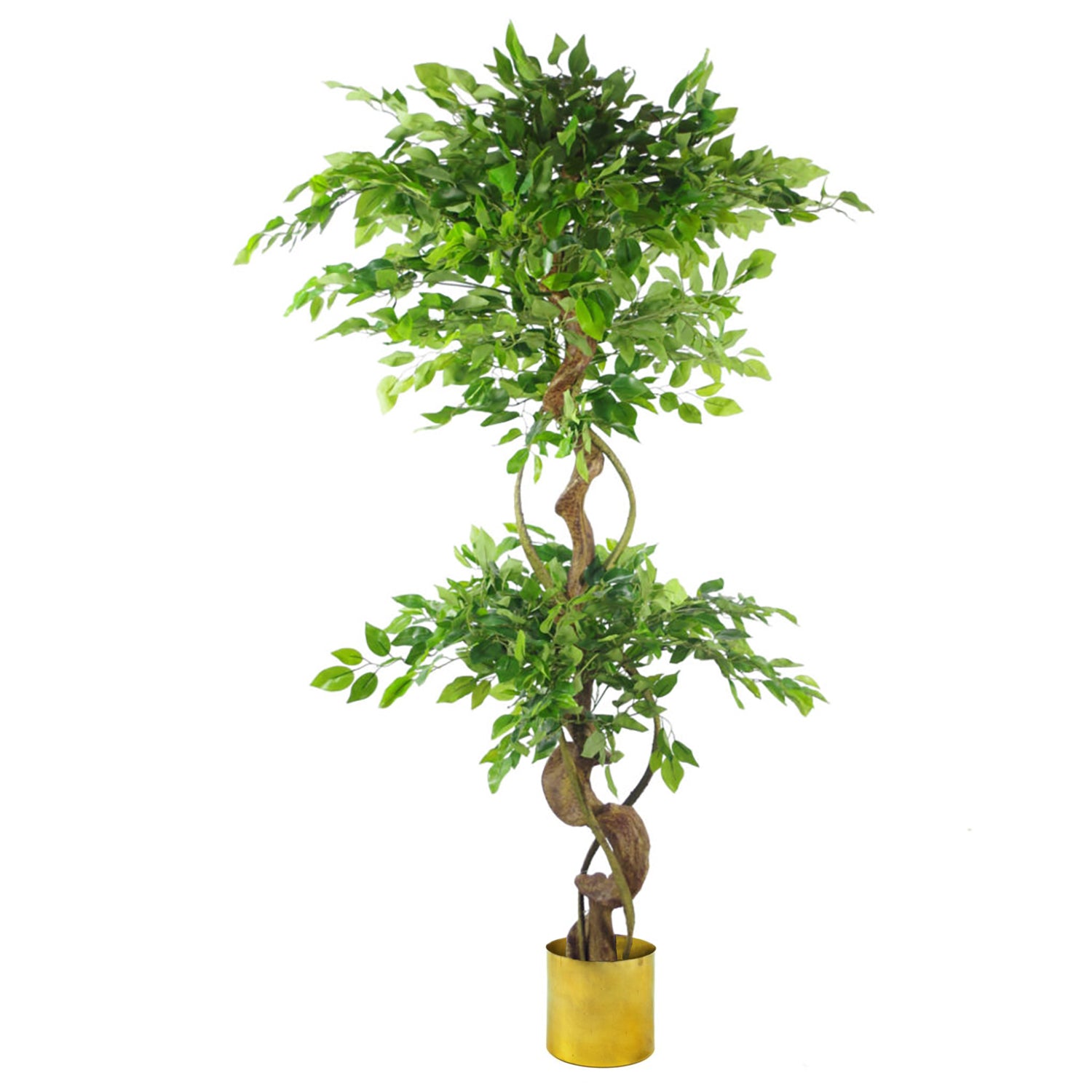 150cm Twisted Trunk Artificial Japanese Fruticosa Ficus Tree Gold Planter