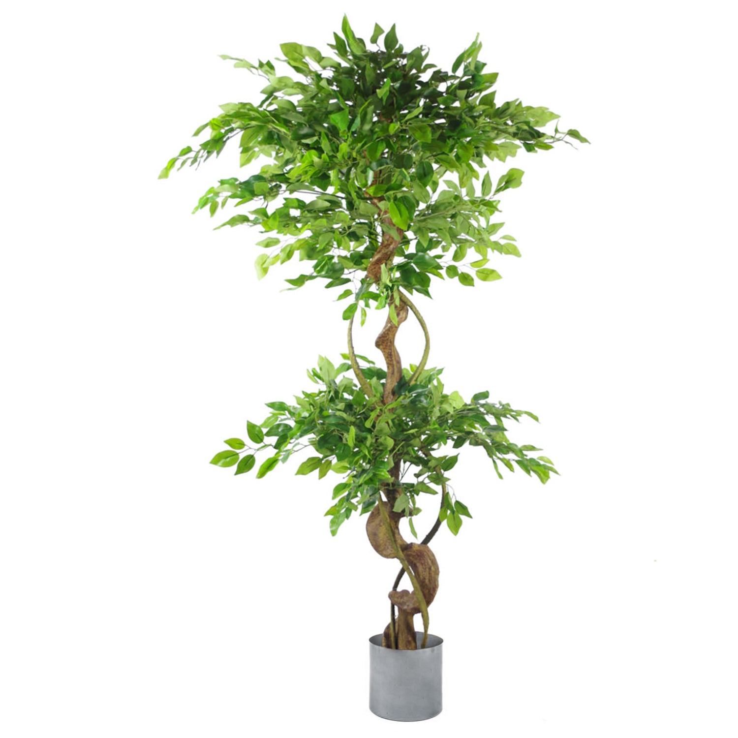 150cm Twisted Trunk Artificial Japanese Fruticosa Ficus Tree Silver Planter