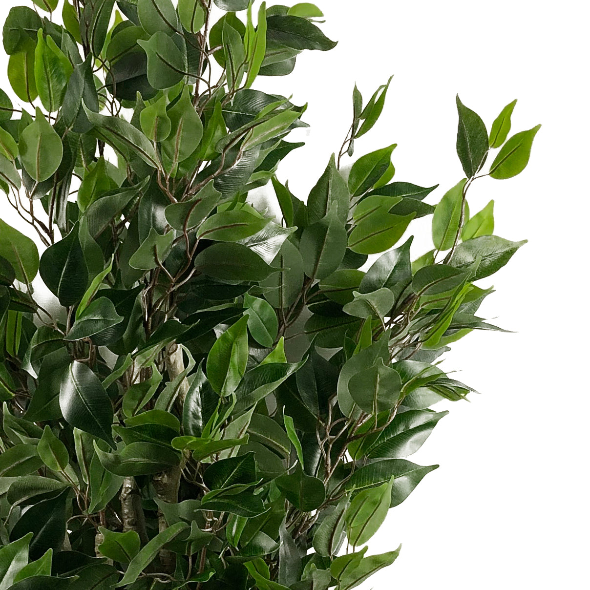 110cm Artificial Evergreen Ficus Tree Multicolour Planter