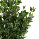 110cm Artificial Evergreen Ficus Tree Multicolour Planter