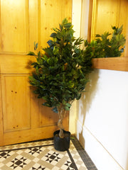 110cm Artificial Evergreen Twist Ficus Tree