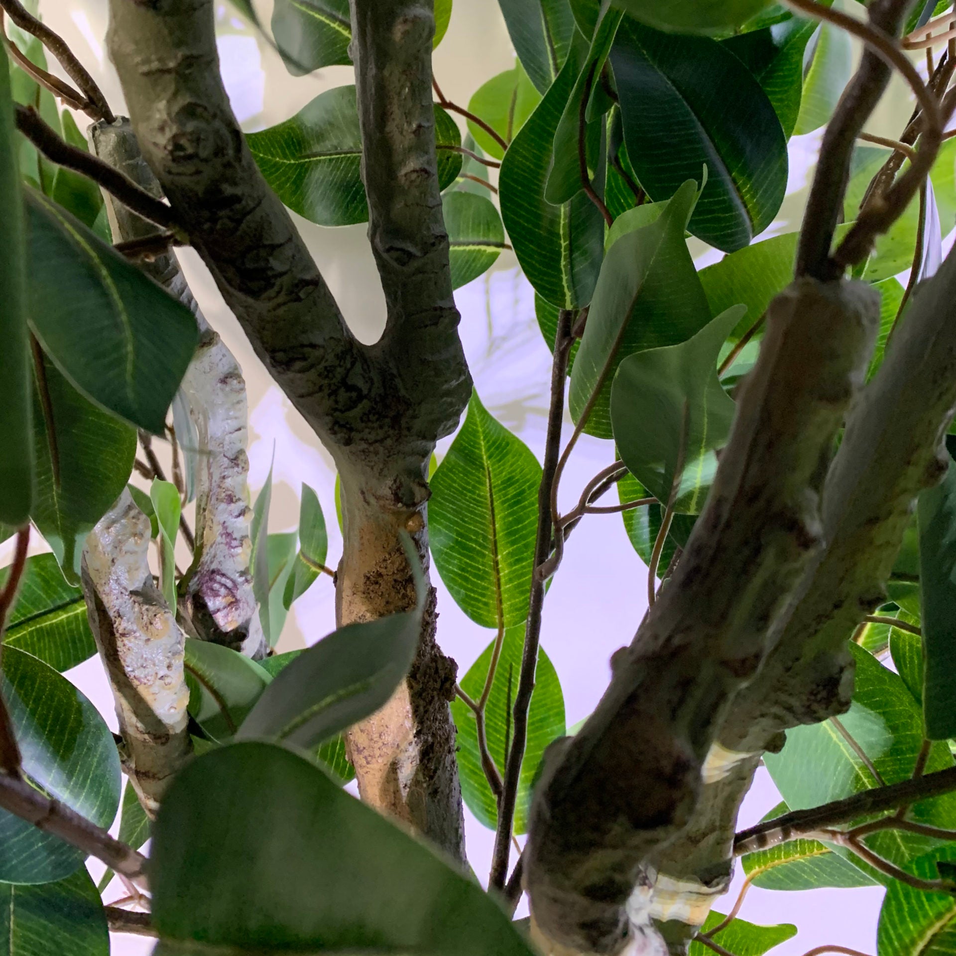 110cm Artificial Evergreen Ficus Tree