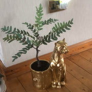 50cm Artificial Evergreen Foliage Plant with Berries