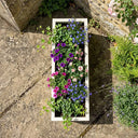 75cm Zinc Galvanised Cream Trough Planter