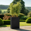 75cm Long Zinc Galvanised Matte Black 90cm Tall Trough Planter