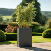 75cm Long Zinc Galvanised Matte Grey 90cm Tall Trough Planter