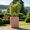 75cm Long Zinc Galvanised Rose Gold 90cm Tall Trough Planter