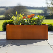 Trough planter with plants on a patio