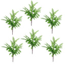 6 x 55cm Himilayan Maidenhair Fern Bush Light Green Plant