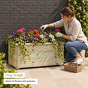 80cm Long Raised Redwood Garden Trough - deep planting space