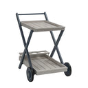 Galaxy Drinks Trolley