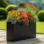 Colourful flowers in a black planter on a patio