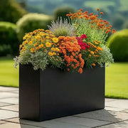 Colourful flowers in a black planter on a patio