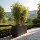 90cm Long Zinc Galvanised Matte Black 60cm Tall Trough Planter