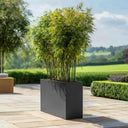 90cm Long Zinc Galvanised Matte Grey 60cm Tall Trough Planter
