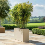 90cm Long Zinc Galvanised Cream 60cm Tall Trough Planter