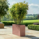 90cm Long Zinc Galvanised Rose Gold Finish 60cm Tall Trough Planter