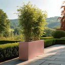 90cm Long Zinc Galvanised Rose Gold Finish 60cm Tall Trough Planter