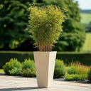 90cm Zinc Galvanised Cream Tall Tapered Square Planter - image 11