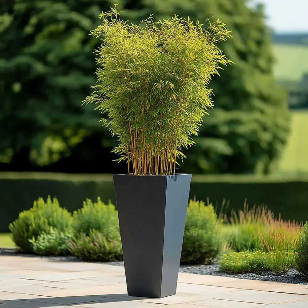 90cm plant pot 90cm Zinc Galvanised Matte Grey Tall Flared Tapered Square Planter – Woven Wood