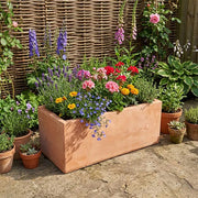 Rustic Terracotta Trough Planter