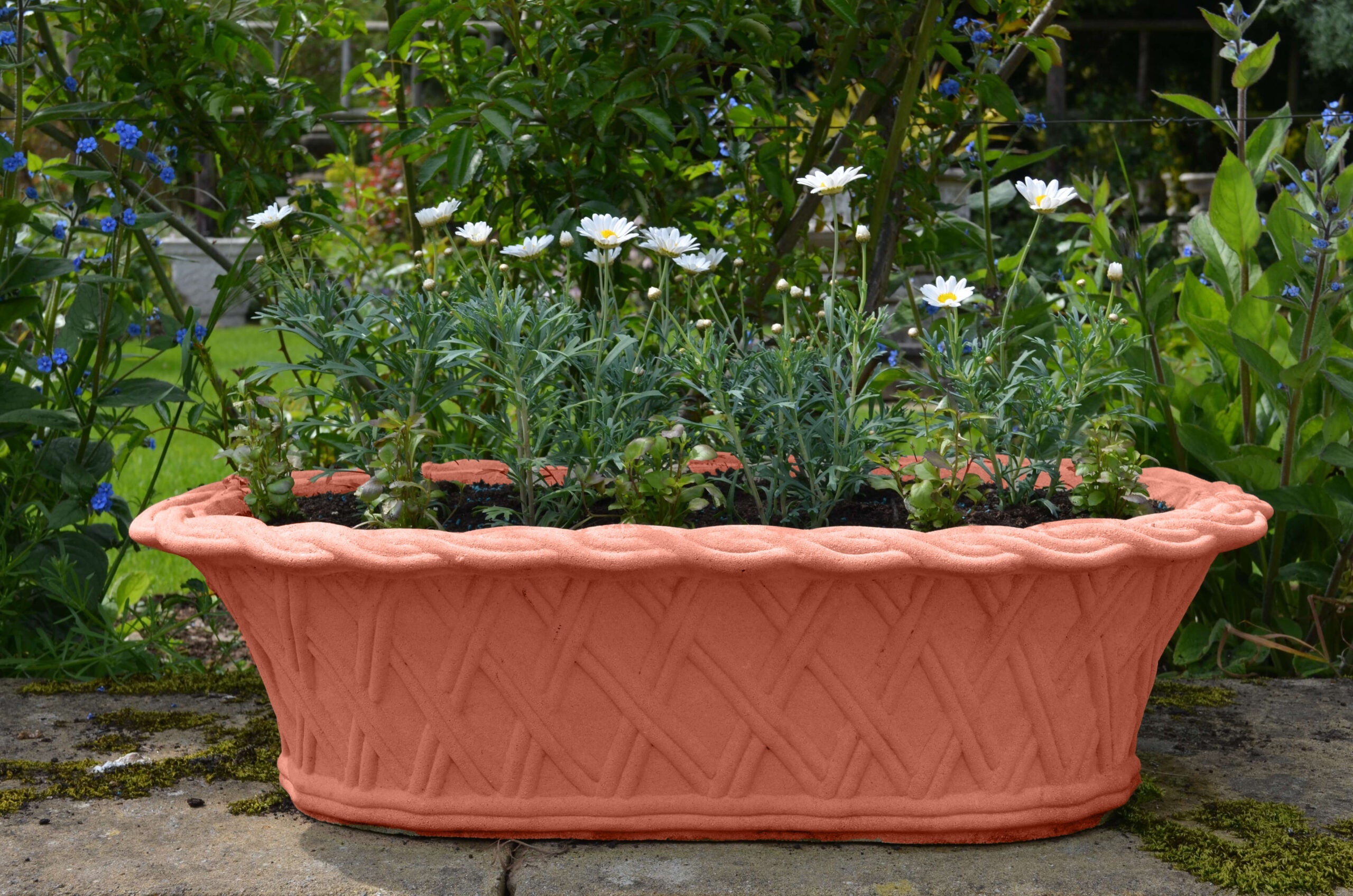 77cm Plaited Trough Stone Planter