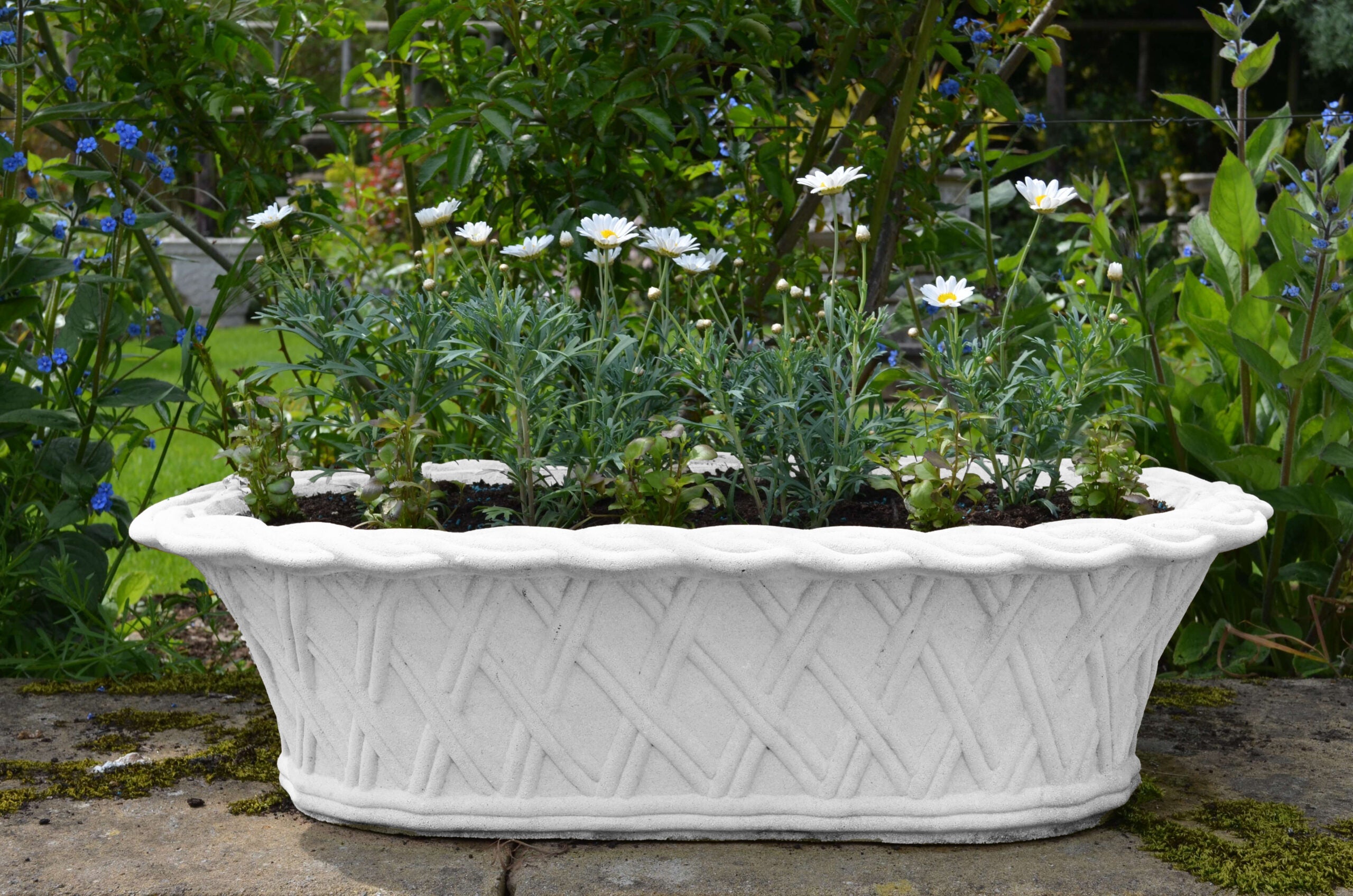 77cm Plaited Trough Stone Planter