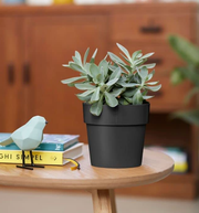 Elho B.FOR ORIGINAL Round Black Plastic Plant Pot 14CM