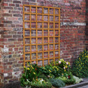 Heavy Duty Trellis #183 x 122cm